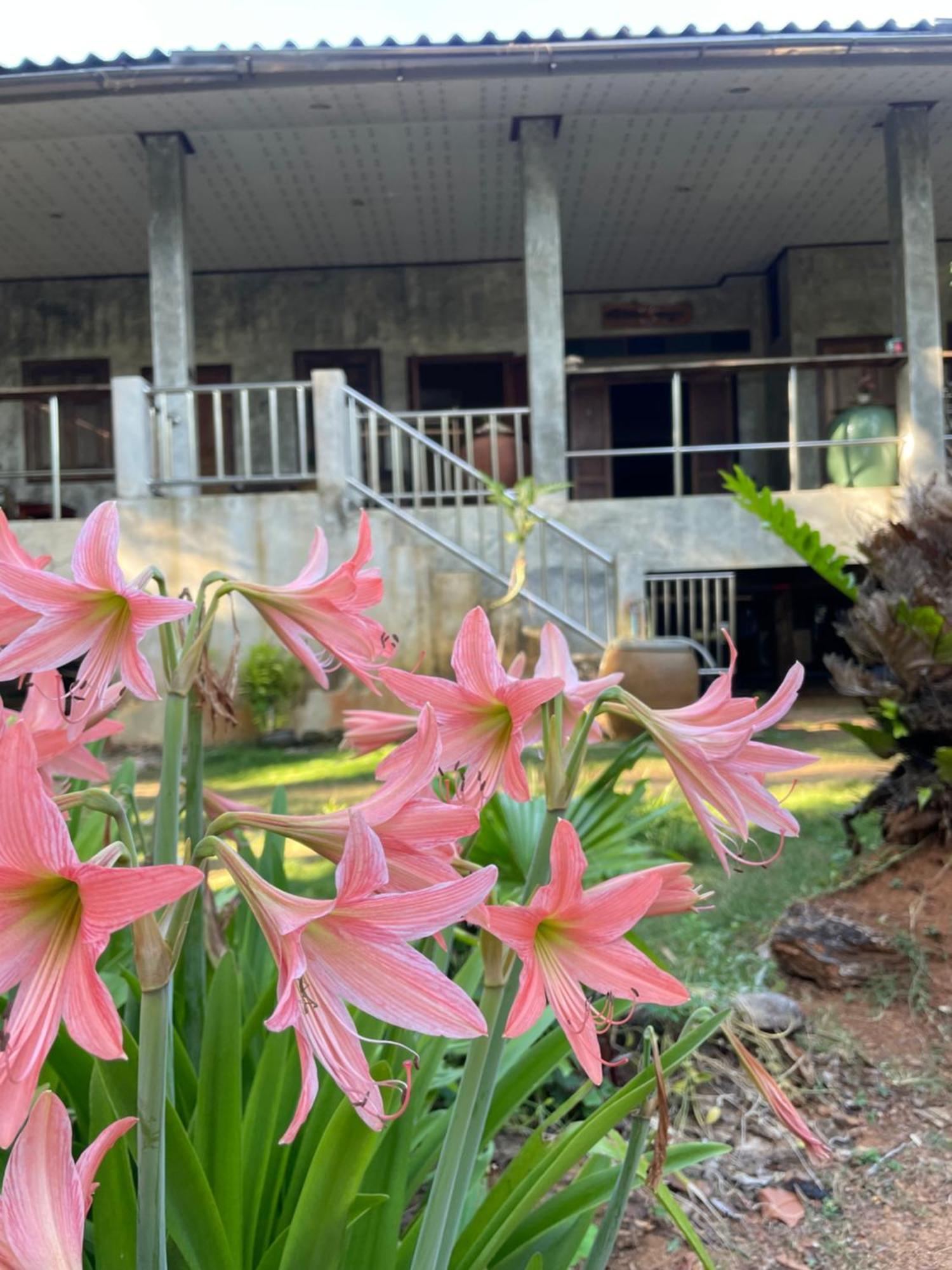 Baanyaiguesthouse 코막 외부 사진