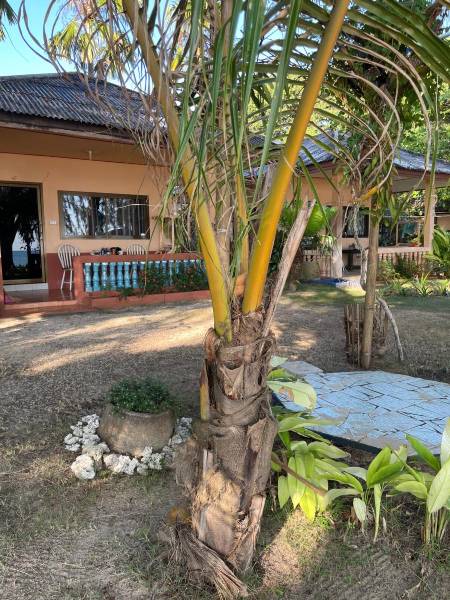 Baanyaiguesthouse 코막 외부 사진